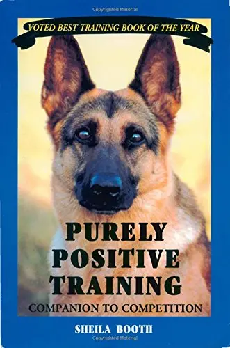 Cover of Purely Positive Training