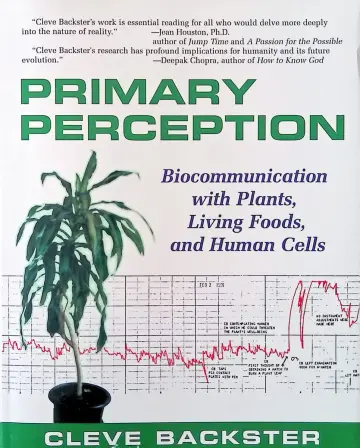 Cover of Primary Perception