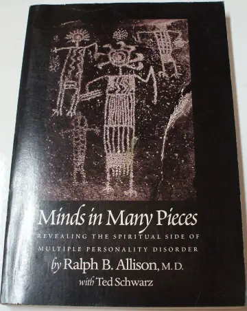 Cover of Minds in Many Pieces
