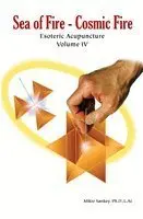 Cover of Esoteric Acupuncture Volume IV (4)