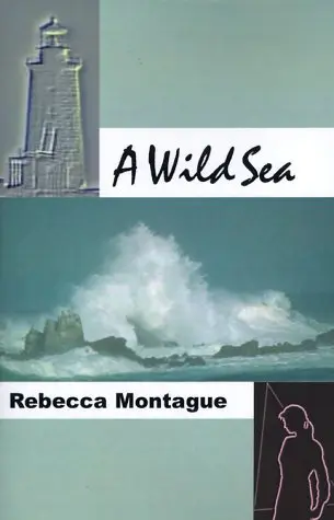 Cover of A Wild Sea
