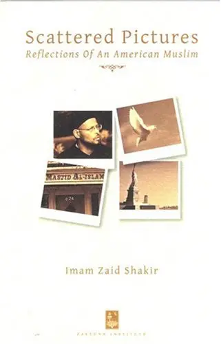 Cover of Scattered Pictures