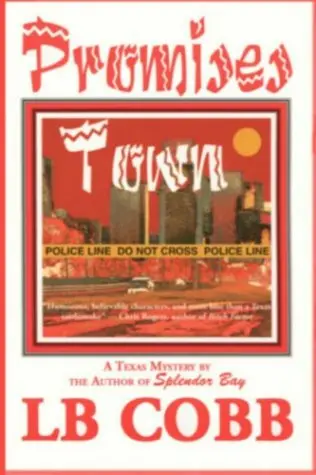 Cover of Promises Town