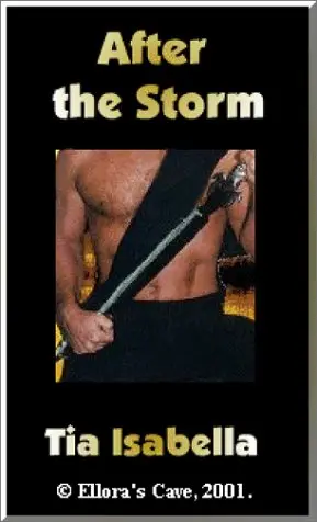 Cover of After the Storm