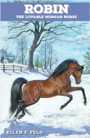Cover of Robin