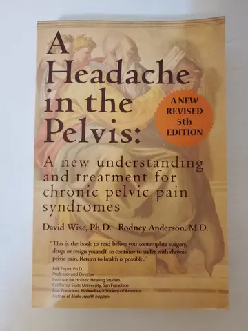 Cover of A Headache in the Pelvis