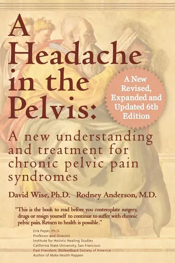 Cover of A Headache in the Pelvis
