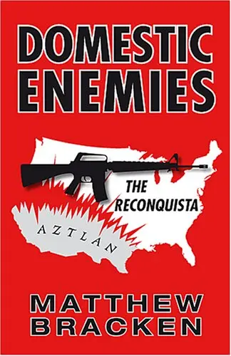 Cover of Domestic Enemies