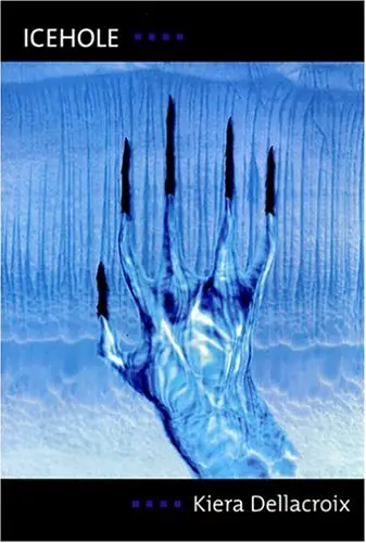 Cover of Icehole