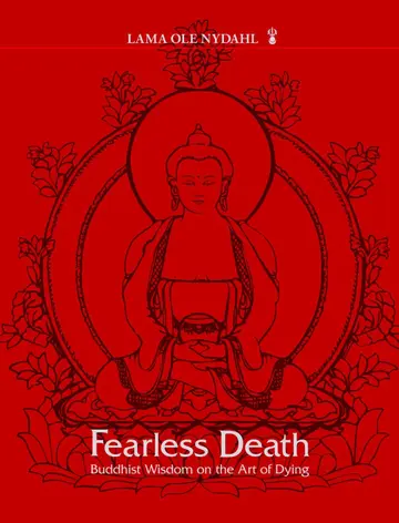 Cover of Fearless Death