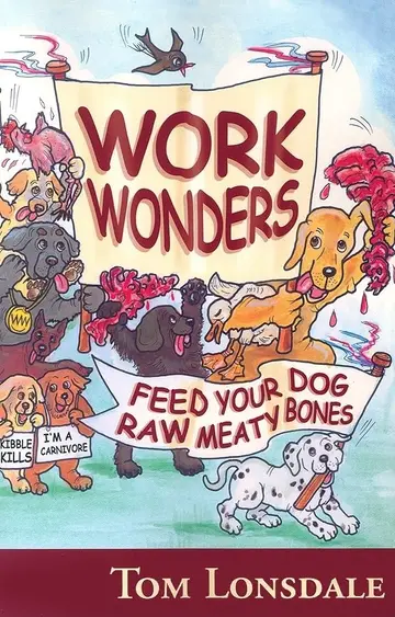 Cover of Work Wonders