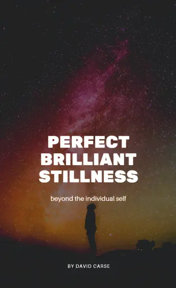 Cover of Perfect Brilliant Stillness