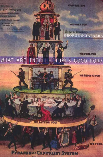 Cover of What Are Intellectuals Good For?