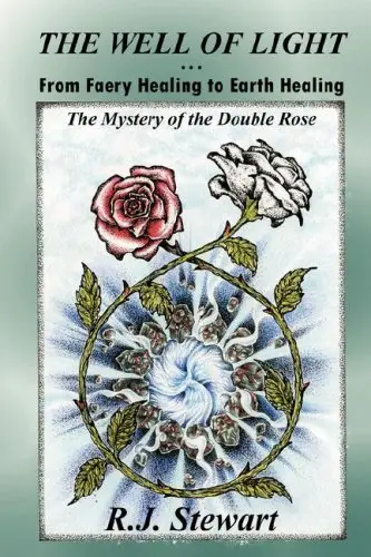 Cover of The Well of Light