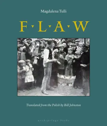 Cover of Flaw