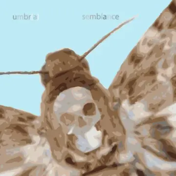 Cover of Umbr(a)