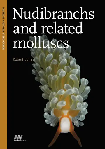 Cover of Nudibranchs and Related Molluscs