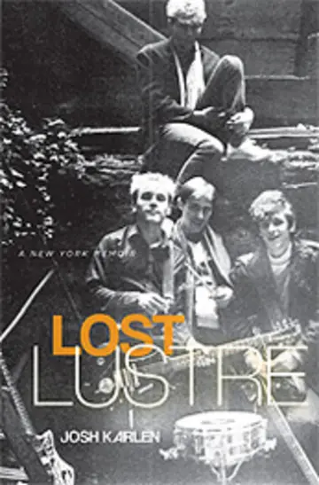 Cover of Lost Lustre