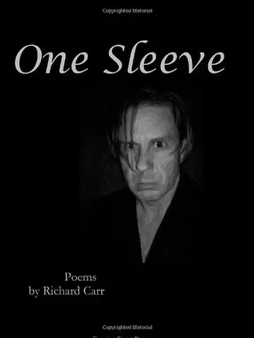 Cover of One Sleeve