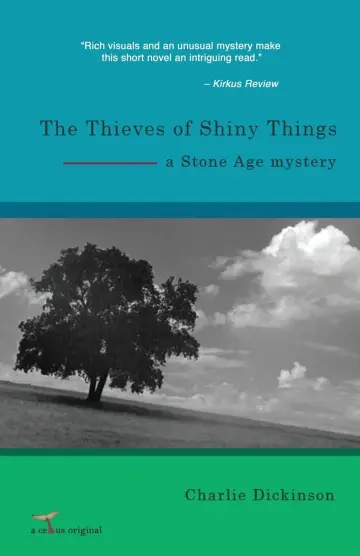 Cover of The Thieves of Shiny Things