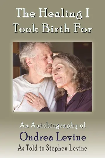 Cover of The Healing I Took Birth for
