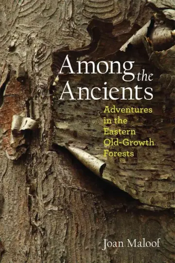 Cover of Among the Ancients