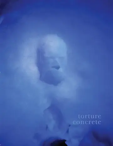 Cover of Torture Concrete