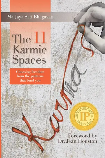 Cover of The 11 Karmic Spaces