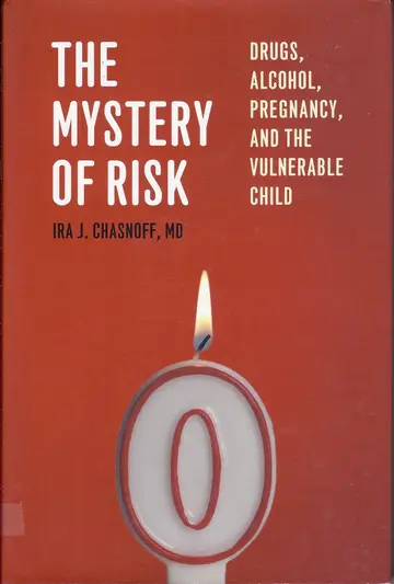Cover of The Mystery of Risk