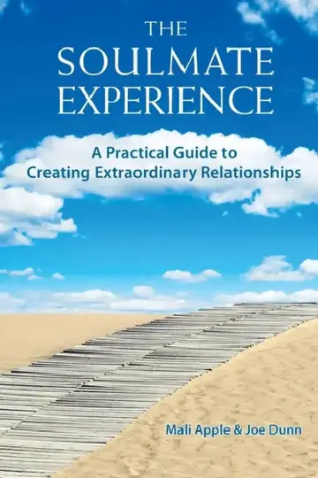 Cover of The Soulmate Experience