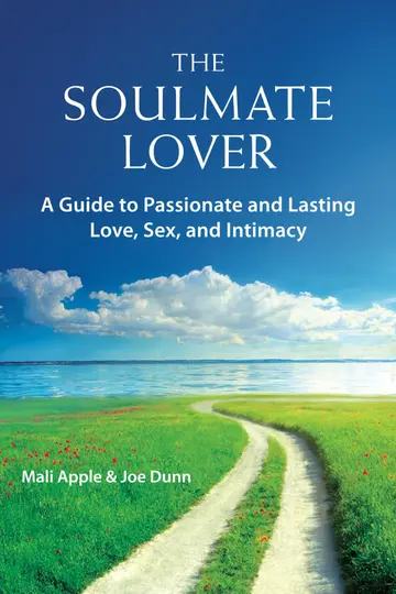 Cover of The Soulmate Lover
