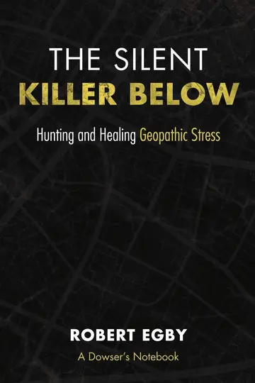 Cover of The Silent Killer Below