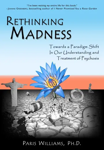 Cover of Rethinking Madness