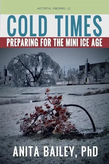 Cover of Cold Times