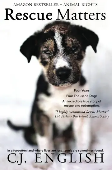 Cover of Rescue Matters