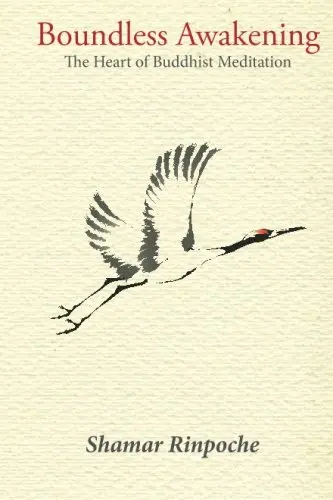 Cover of Boundless Awakening