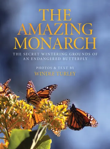 Cover of Amazing Monarch