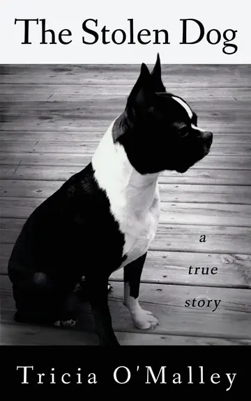 Cover of The Stolen Dog
