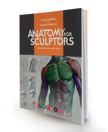 Cover of Anatomy for Sculptors, Understanding the Human Figure by Uldis Zarins with Sandis Kondrats
