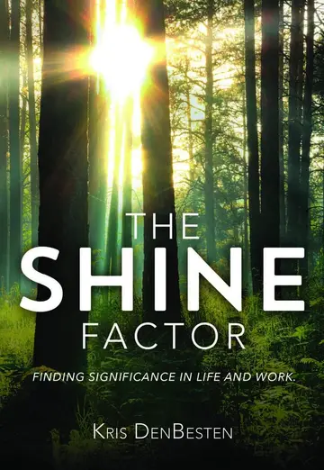 Cover of The Shine Factor