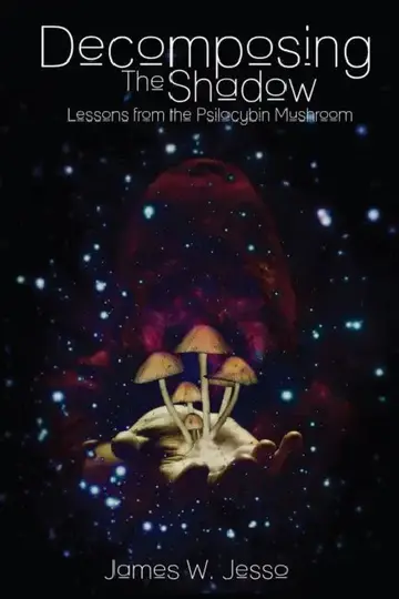 Cover of Decomposing The Shadow