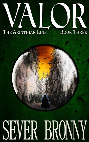 Cover of Valor