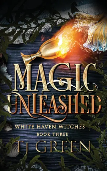 Cover of Magic Unleashed