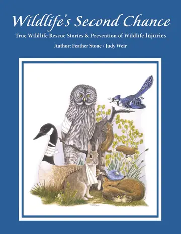 Cover of Wildlife's Second Chance