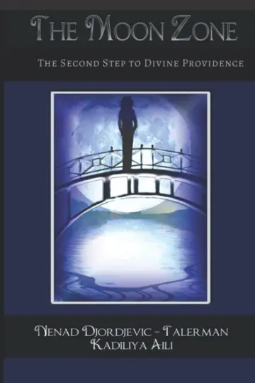 Cover of The Moon Zone