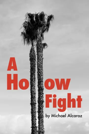 Cover of A Hollow Fight