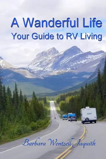 Cover of A Wanderful Life