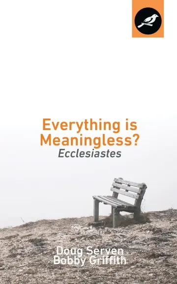 Cover of Everything Is Meaningless?
