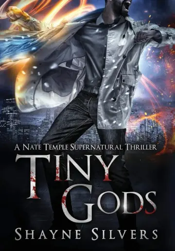 Cover of Tiny Gods