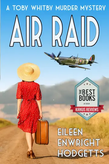 Cover of Air Raid